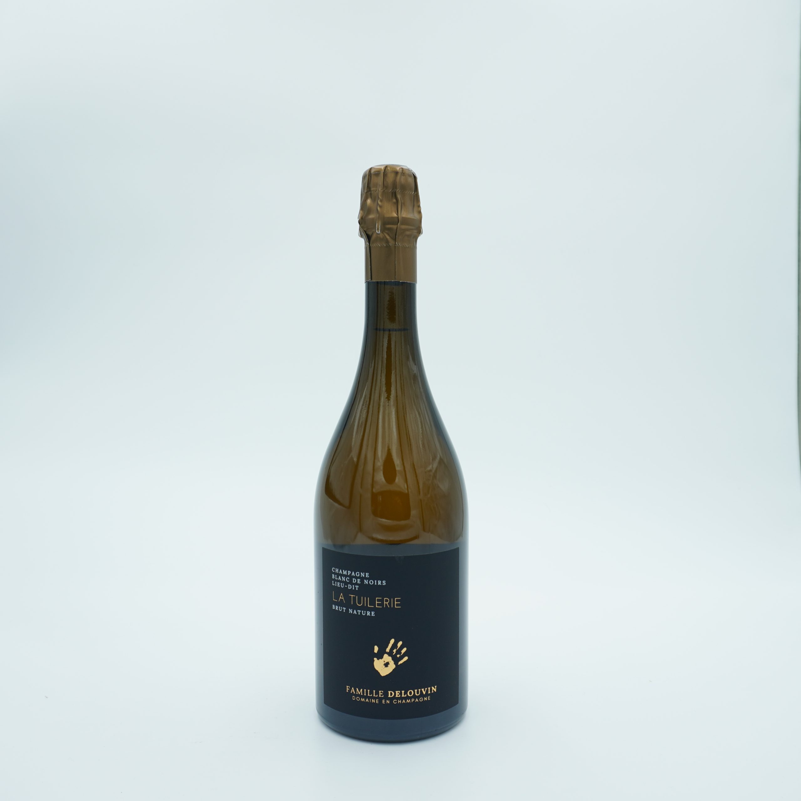 Famille Delouvin, La Tuilerie, Base 2018