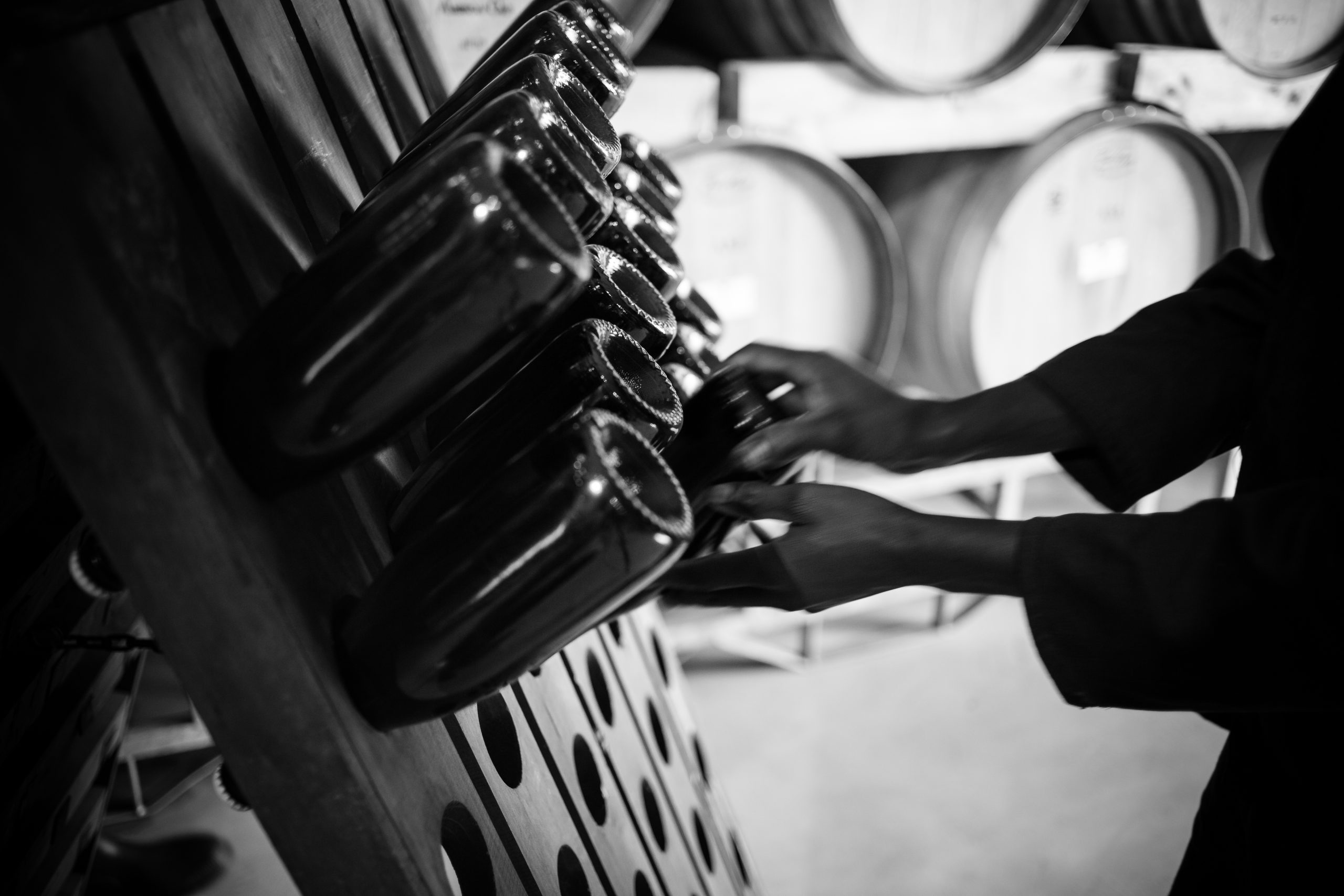 Den nye generation i Champagne – champagnesmagning 20. februar 2027 kl. 20