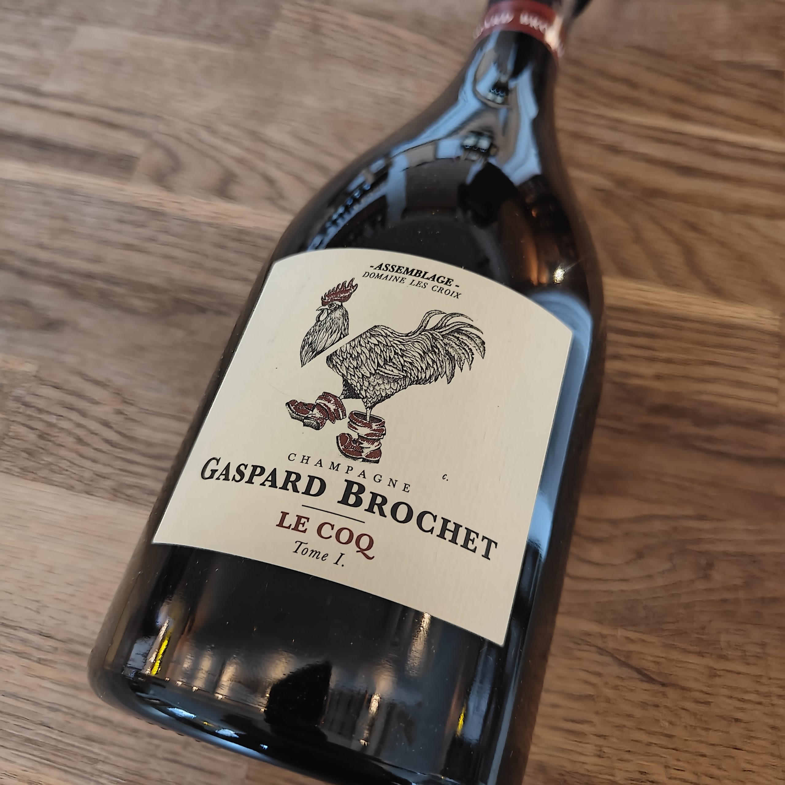 Gaspard Brochet, Coq, Tome I, Base 2022